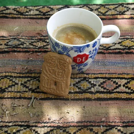 Defneland Daphne Ildiri