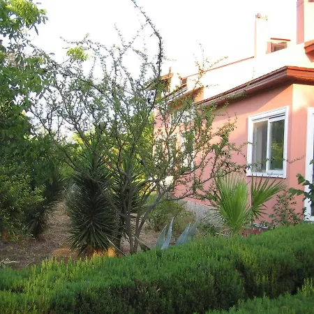 木屋 Defneland Daphne