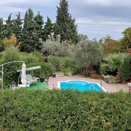 Defneland Daphne * Ildiri