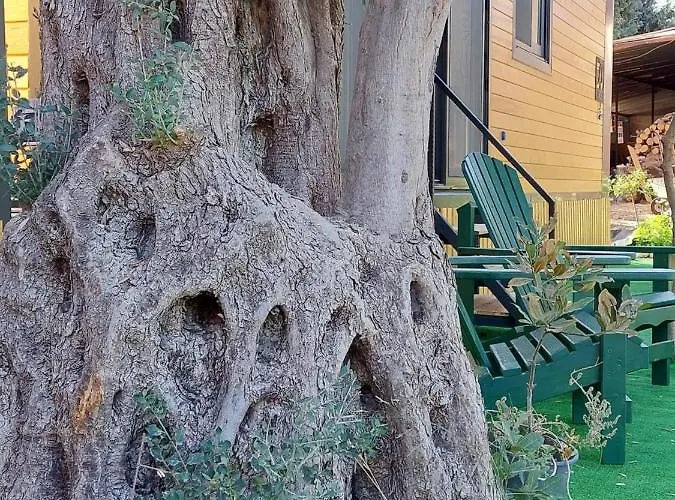 Defneland Daphne Chalet *