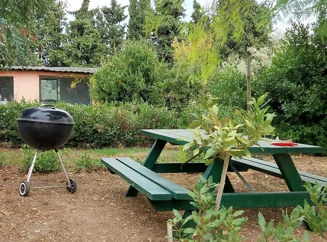 Defneland Daphne Ildiri