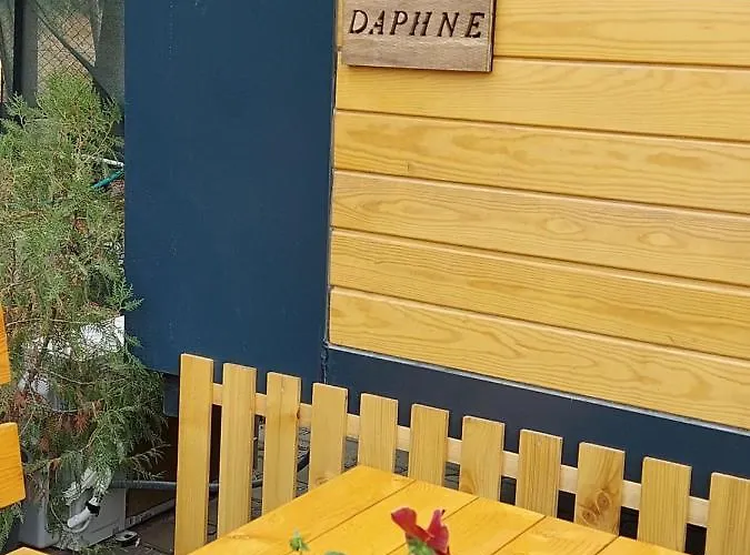 Defneland Daphne * Ildiri