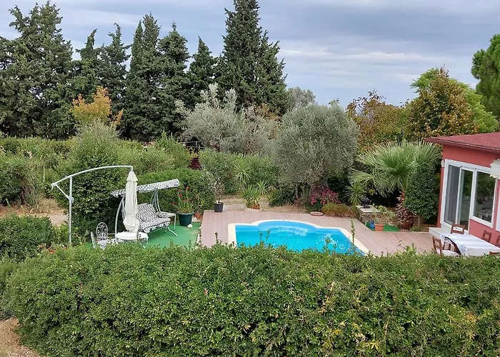 Defneland Daphne * Ildiri