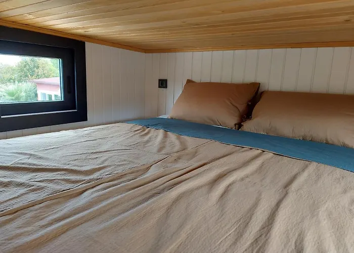 Defneland Daphne Ildiri