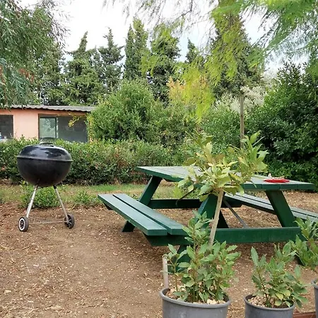 Defneland Daphne Ildiri