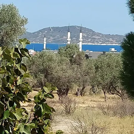 Alpstuga Defneland Daphne