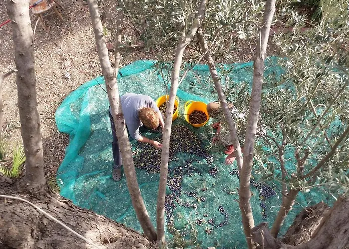 Alpstuga Defneland Daphne Ildiri