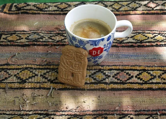 Defneland Daphne Ildiri