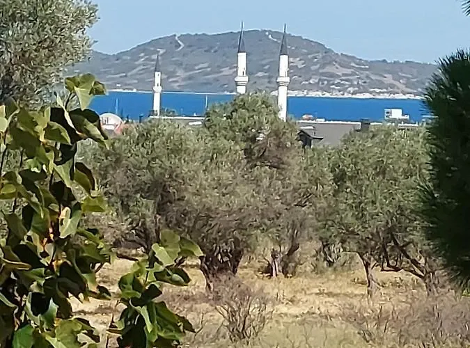 Alpstuga Defneland Daphne