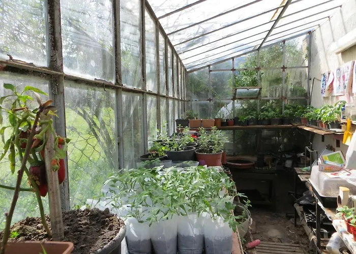 Defneland Daphne Alpstuga Ildiri